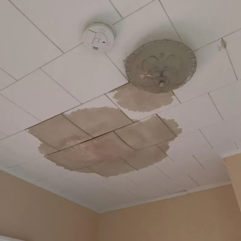Ceiling Water Damage Repair in Pierce County, WI