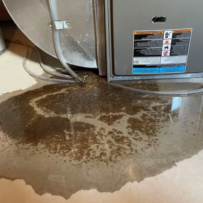 Pipe Burst and Leak Restoration in Pierce County, WI